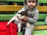 Обожает собак 🧸