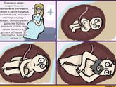 Годнота подъехала?