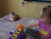 Игрушка