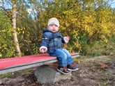 Наша осень на Севере🍁🍂,
