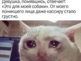 Минутка плоского юмора в