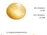 Мои 32 недели и