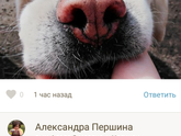 Новости.