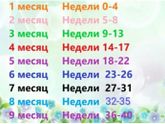 3 триместр начинается с какой недельки ?