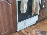 Перестала вкусно готовить