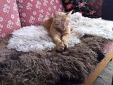 Для тех кто был с нами и переживал)