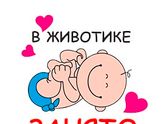 Летом следующего года наша