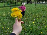 Горшок