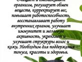 Первая в мире живая