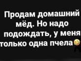 Фотография 2020-08-06 12:19:28