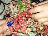 Вкусняшки в ленту💋