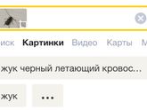 Кто знает что это за тварь?