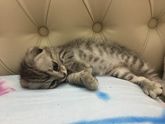 у нас пополнение🥰