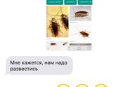 Это любовь