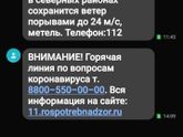 Инста делится на два