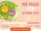 Привет 3 триместр) всегда