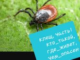Девочки, увидела, что наибольшей