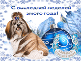 Делюсь своим секретом
