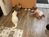 Очередной скачок развития
