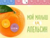 С каждым днём утро