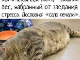 ))))