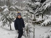 Купили бы такую для