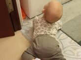 Первая шишка