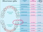 Сыну 2 года 11