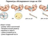 Маловесный плод.