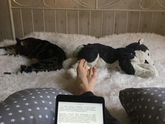 О книгах.
