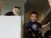 Когда стали давать сырую