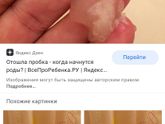 Здравствуйте 31 неделя