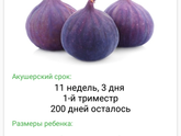 11 Недель💞