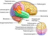 Девочки, что это может