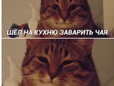 Фотография 2020-01-02 21:57:44