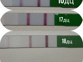 На протяжении 5ти дней