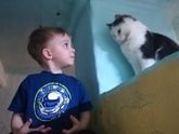 Когда стали давать сырую