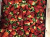 минус онлайн покупок