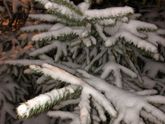Сказочное утро и печеньки ❄️?