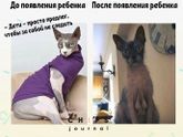 Фотография 2020-01-16 15:54:06
