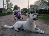 Воскресный вечер)