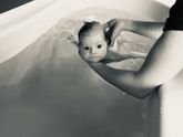 Лягушонок ?