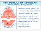 Боковые резцы сверху или