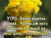 Фотография 2019-06-03 08:41:55