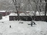 7 месяцев (16,04,18. Для себя)