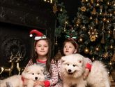 Фотография 2020-12-13 22:04:42