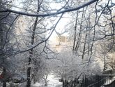 Вот и зима ❄️❄️❄️