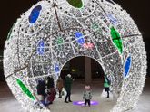 Такую красоту поставили у