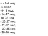 8 месяц Девочки, с
