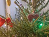 Поставили живую елку🌲